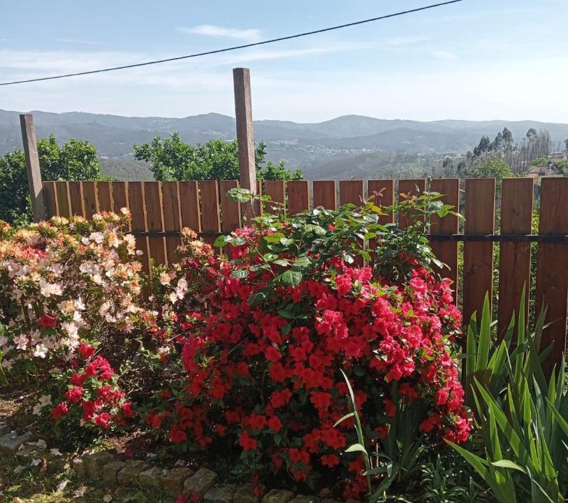 Photo of Others in Sever do Vouga