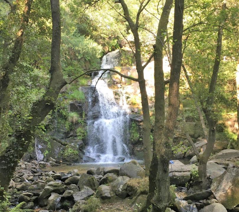 Photo of Others in Sever do Vouga