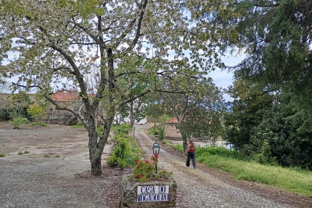 Photo of Others in Vila Ruiva