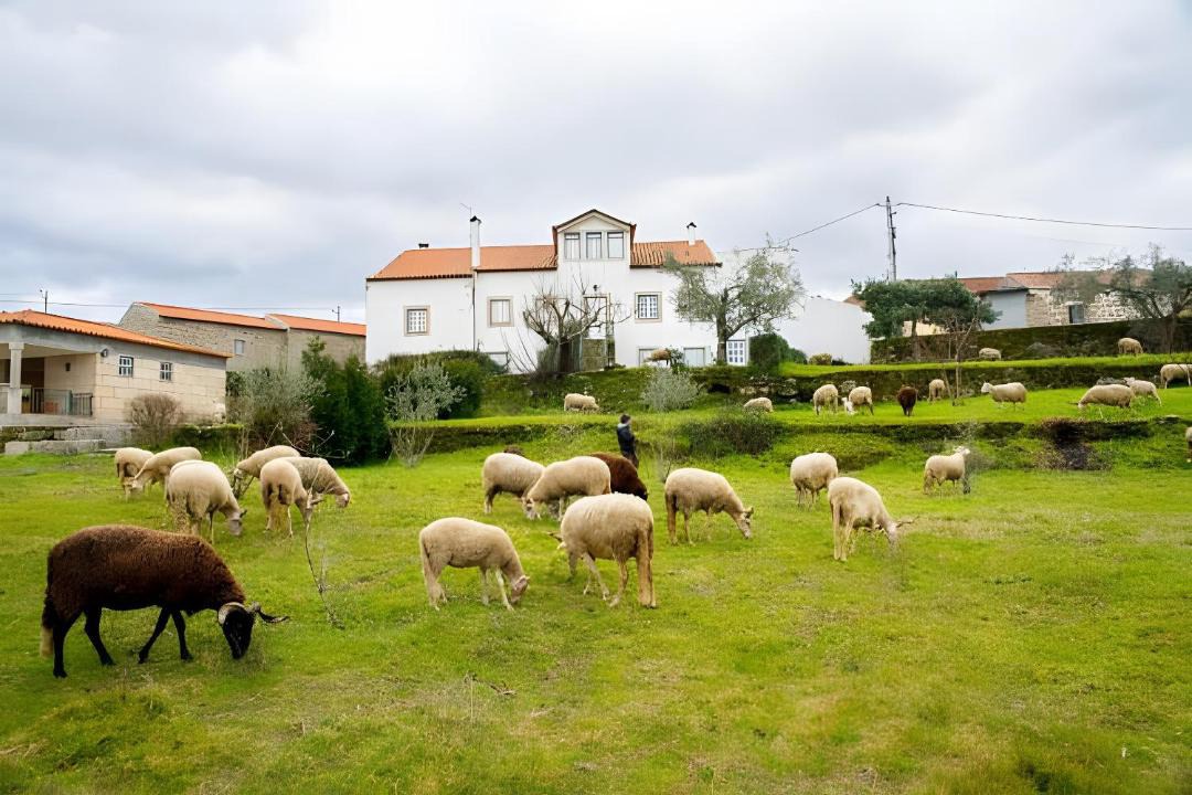 Photo of Others in Vila Ruiva