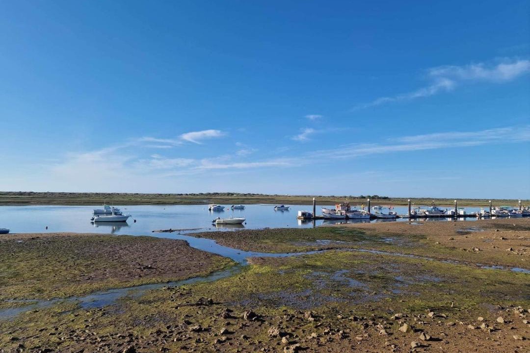Photo of Others in Conceicao e Cabanas de Tavira