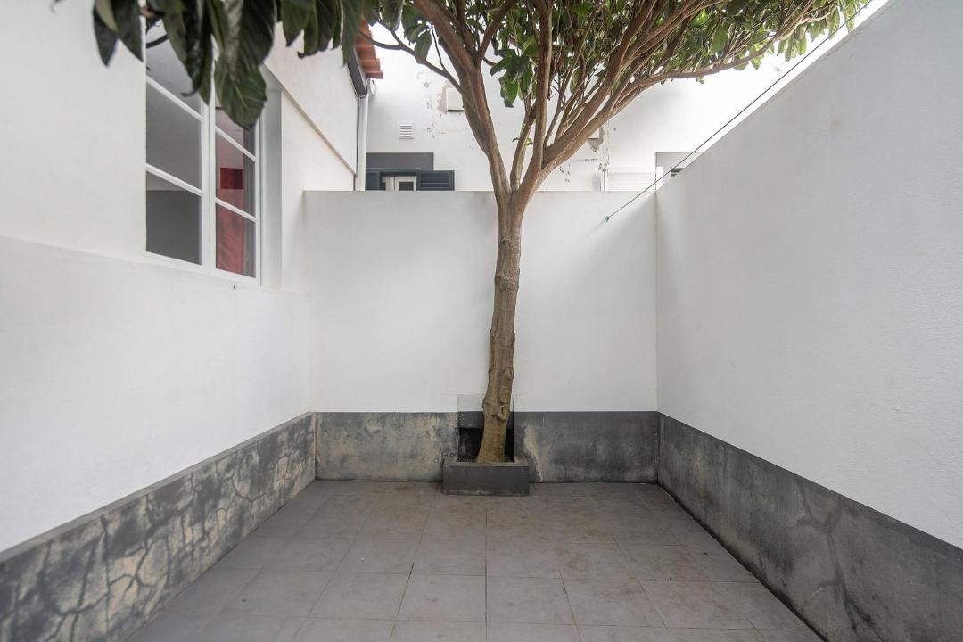 Photo of Others in Santa Cruz da Graciosa