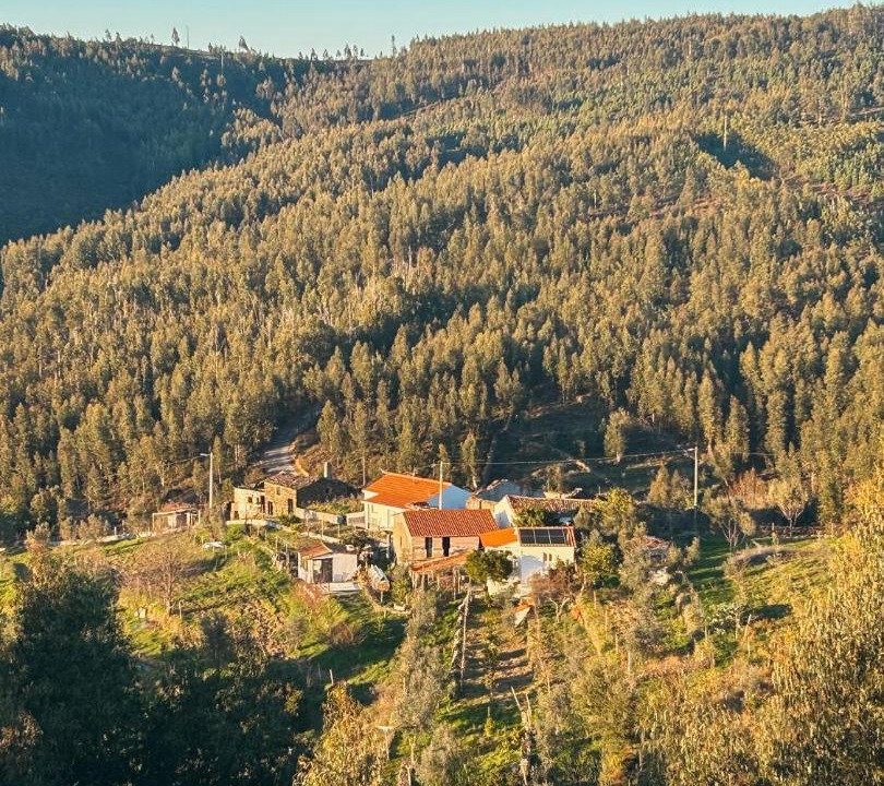 Photo of Others in Oleiros