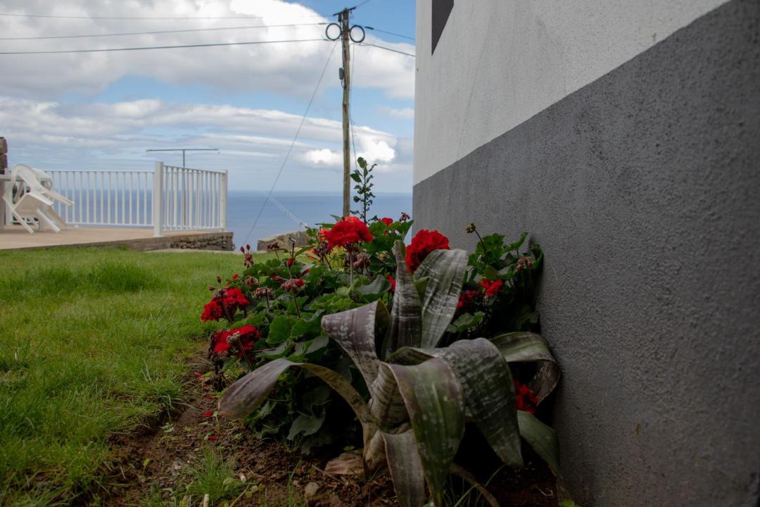 Photo of Others in Ponta Delgada