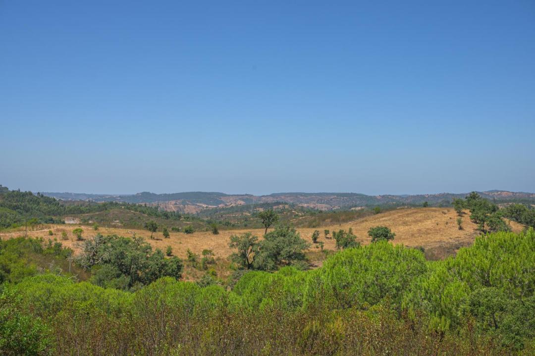 Photo of Others in Santa Maria