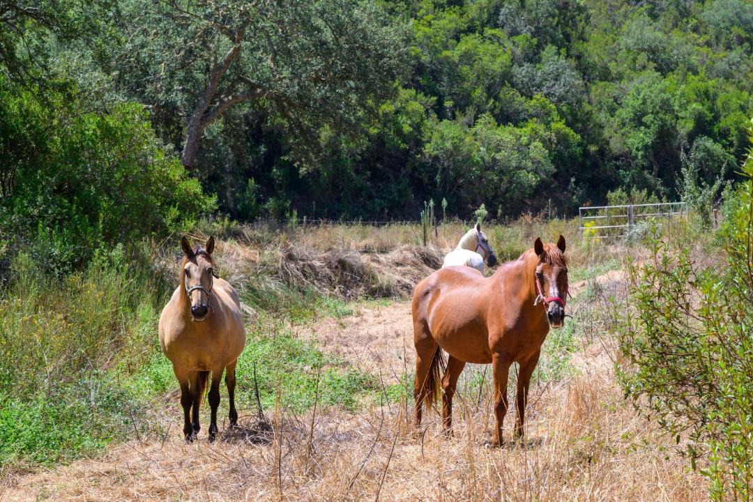 Photo of Others in Santa Maria