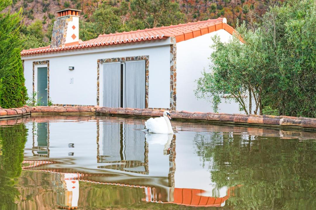 Photo of Others in Baiona