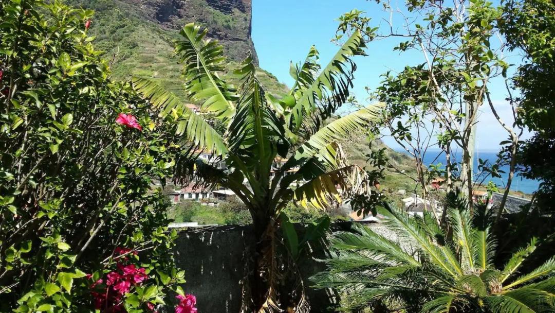 Photo of Others in Porto da Cruz