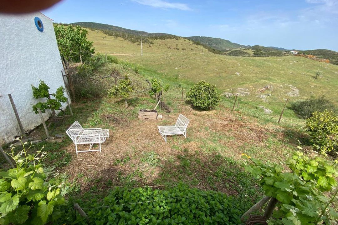 Photo of Others in Mertola