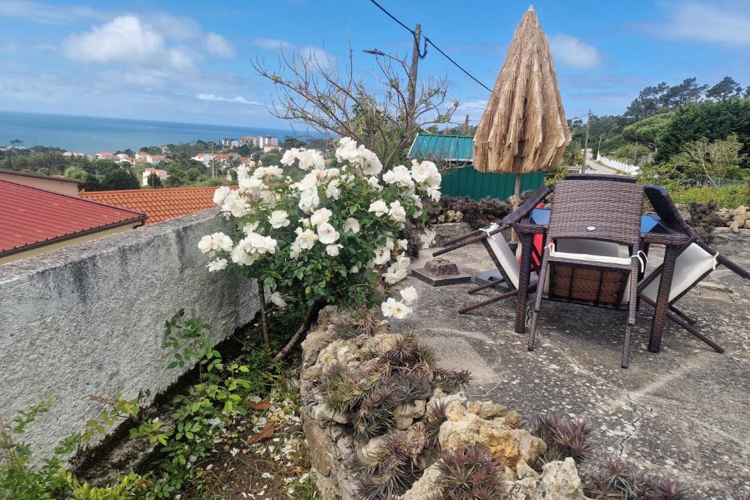 Photo of Others in Figueira da Foz