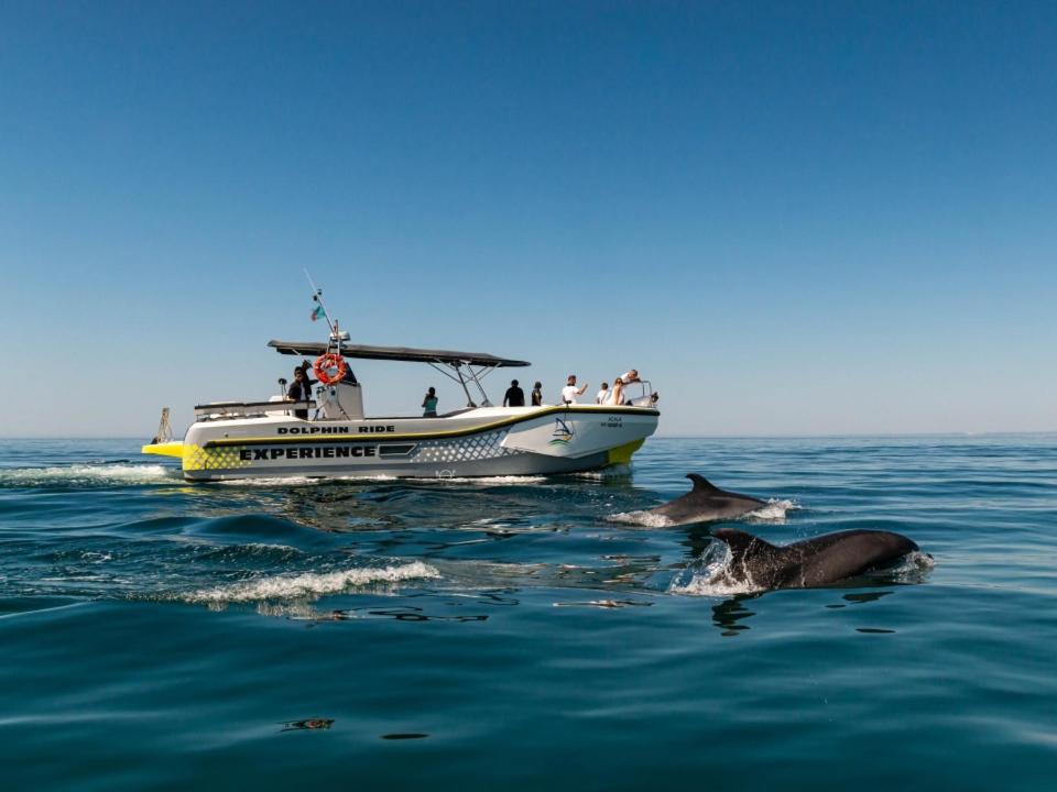 Photo of Others in Sao Juliao