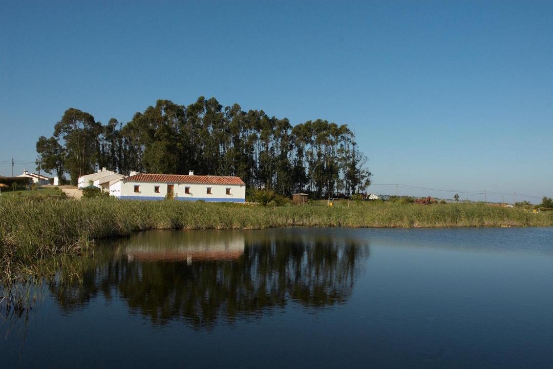 Photo of Buildings in Zambujeira do Mar