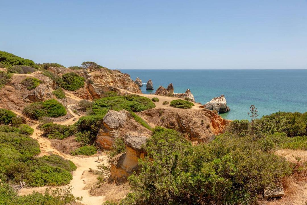 Photo of Others in Prainha
