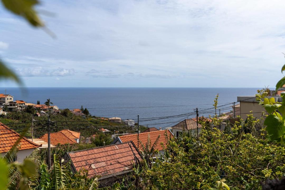 Photo of Others in Canhas