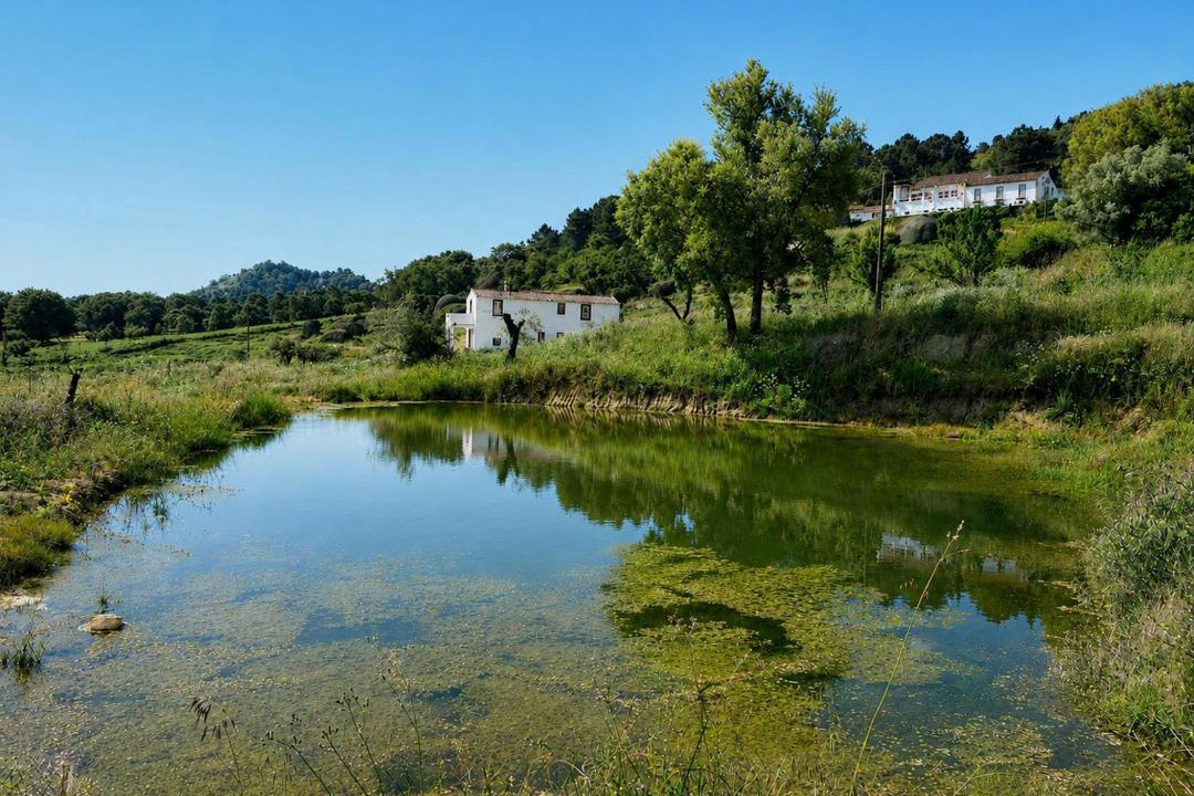 Photo of Others in Marvao