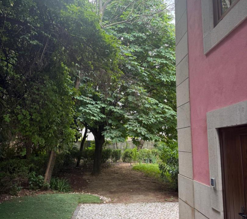 Photo of Others in Campo Grande