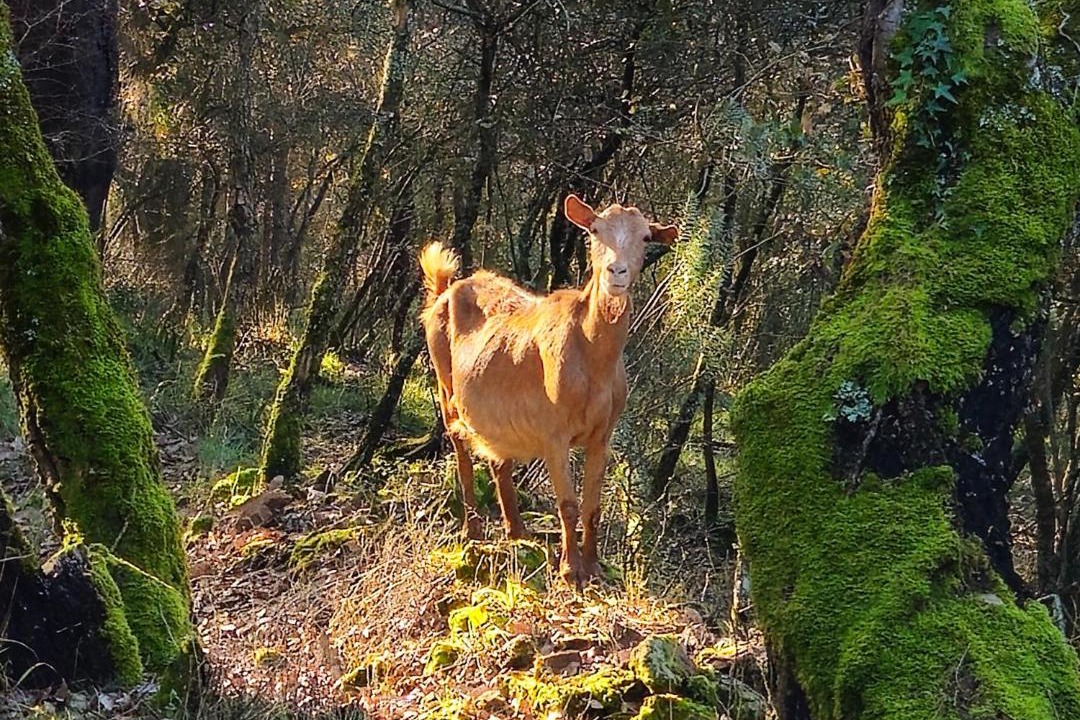 Photo of Others in Areias