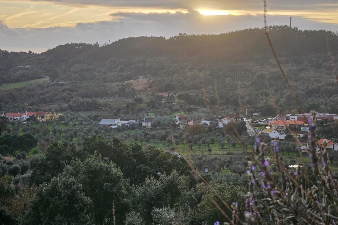 Photo of Others in Areias