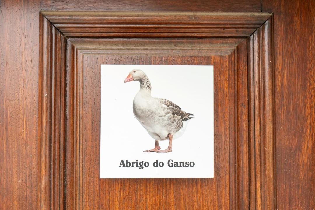 Photo of Others in Cardigos