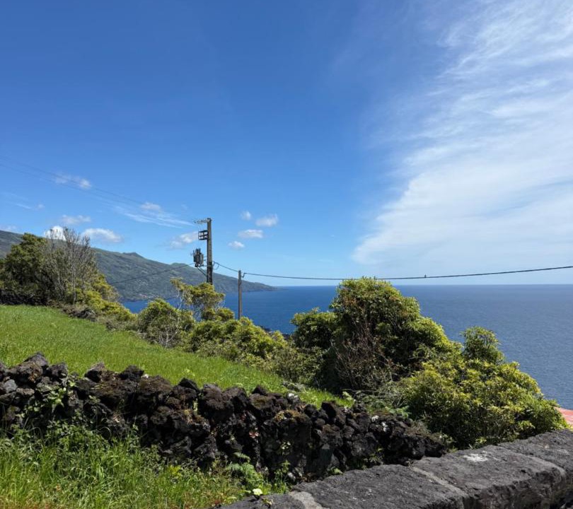 Photo of Others in Lajes do Pico