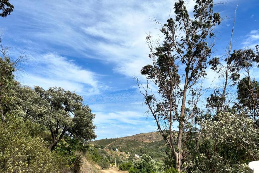Photo of Others in Fonte do Bispo