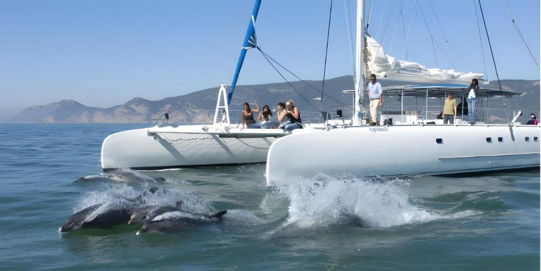 Photo of Others in Troia