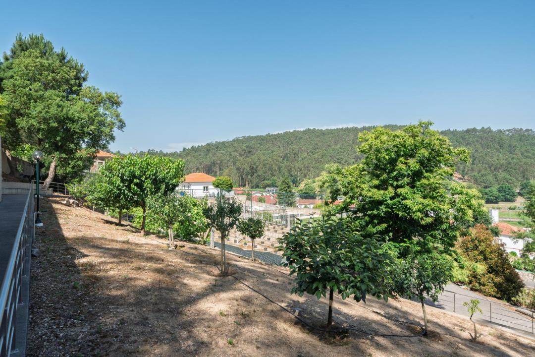 Photo of Others in Oliveira De Azemeis