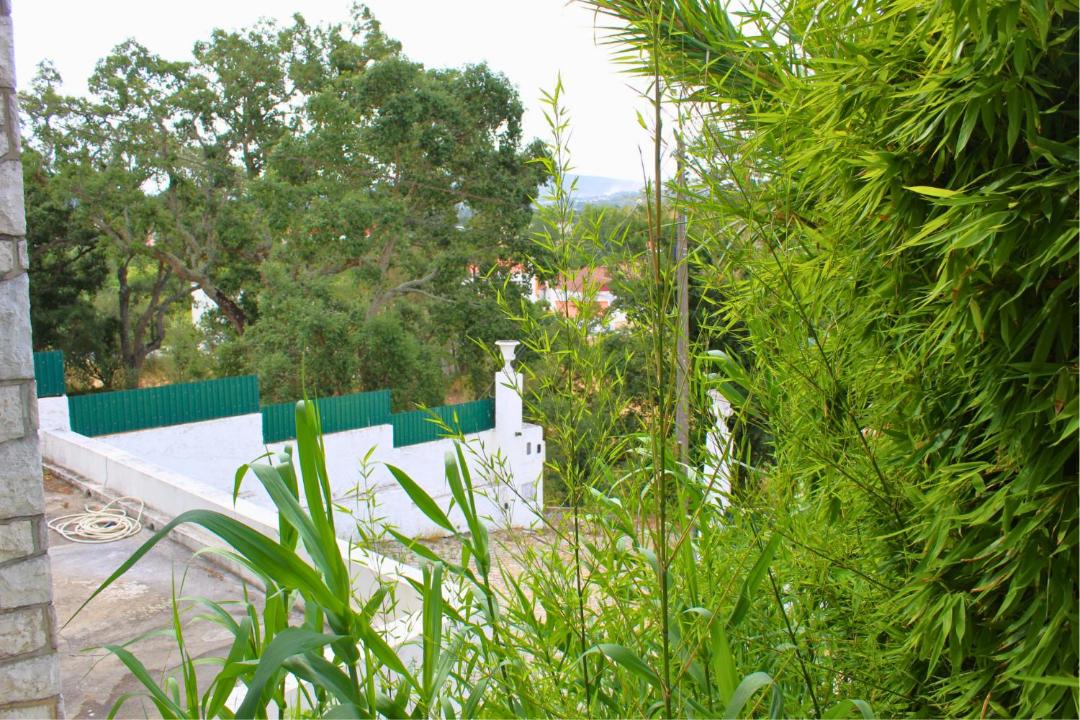 Photo of Others in Faulha
