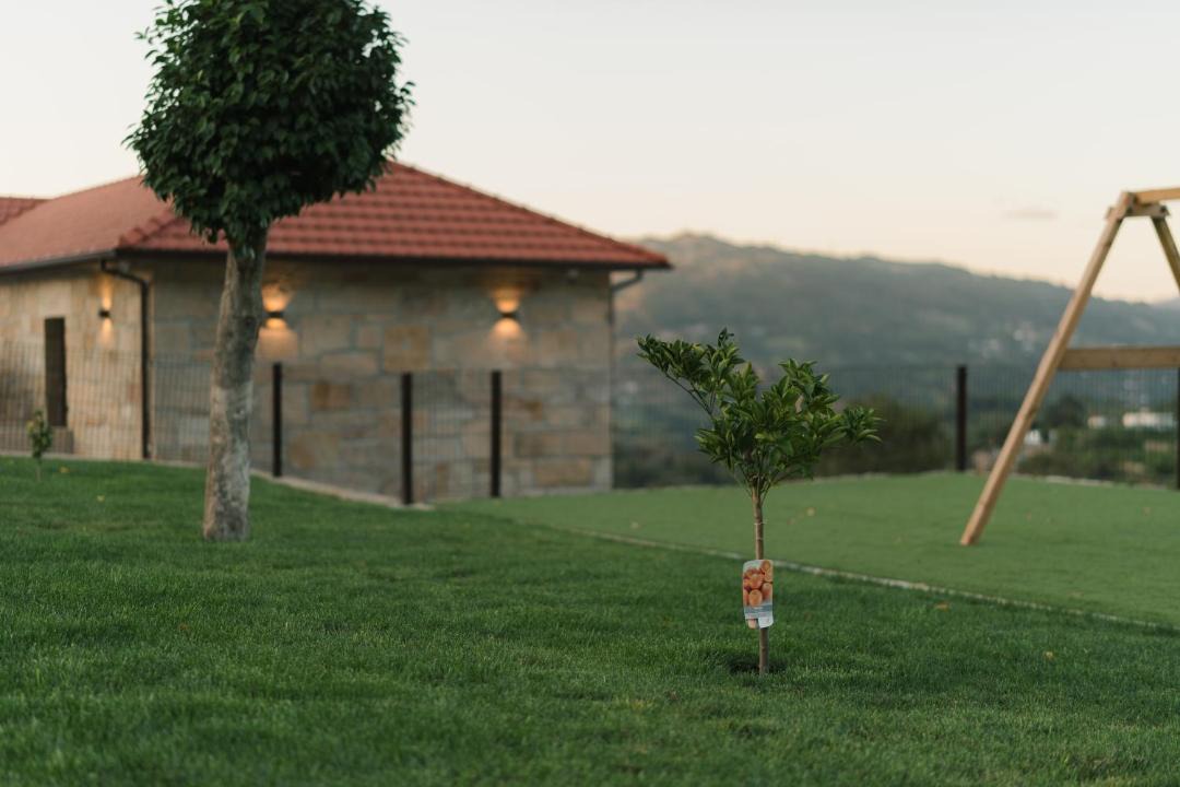 Photo of Outdoor in Cinfaes