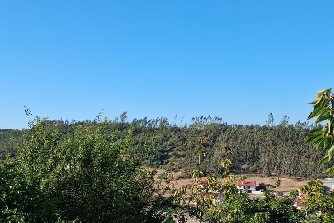 Photo of Others in Ourem