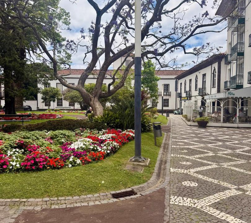 Photo of Others in Ponta Delgada