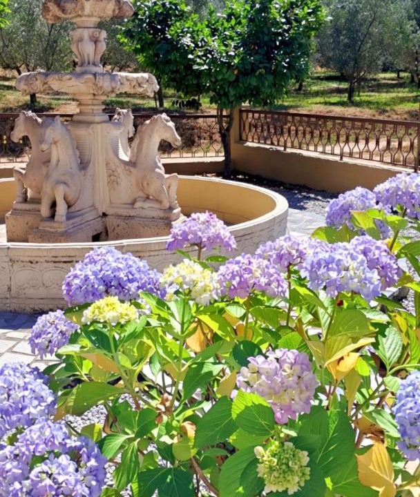 Photo of Others in Lamego