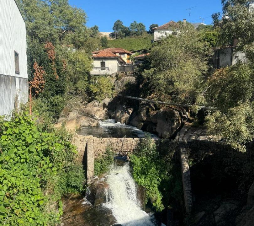 Photo of Others in Lordelo