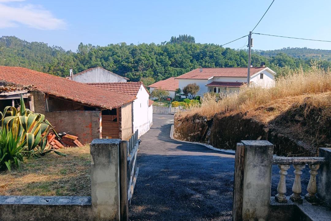 Photo of Others in Miranda do Corvo