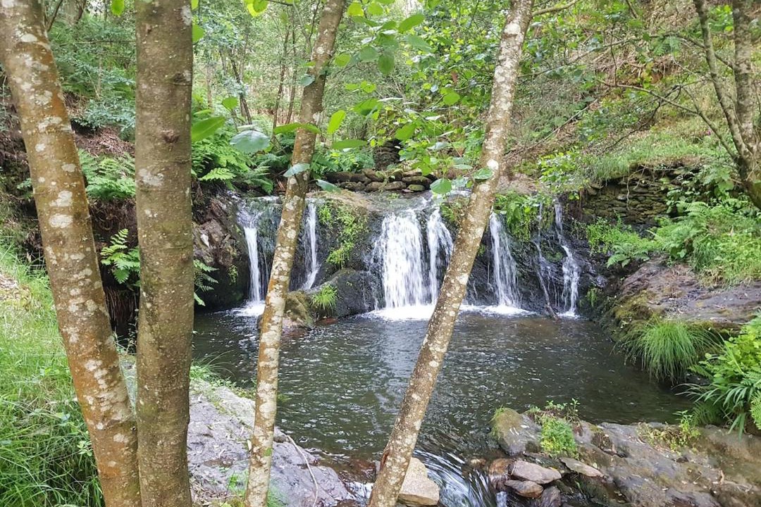 Photo of Others in Arouca