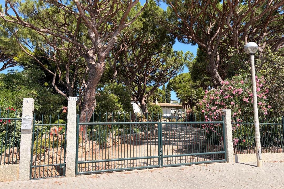 Photo of Others in Quarteira