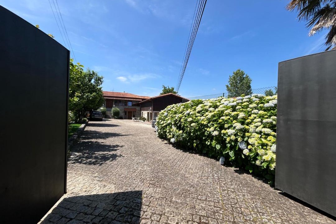 Photo of Others in Guimaraes