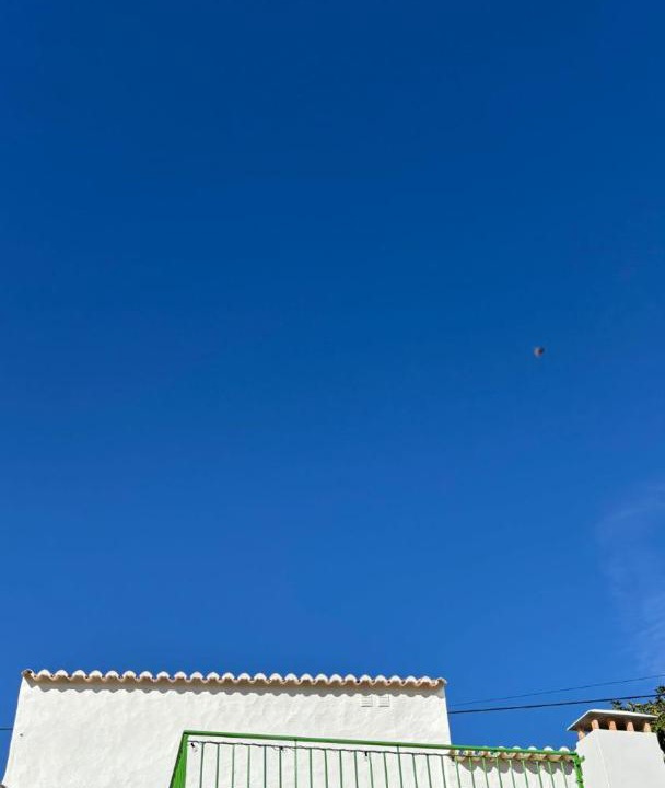 Photo of Others in Silves