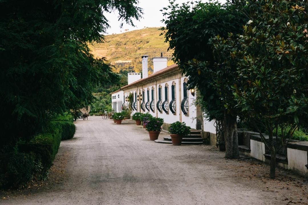 Photo of Others in Varzea de Abrunhais