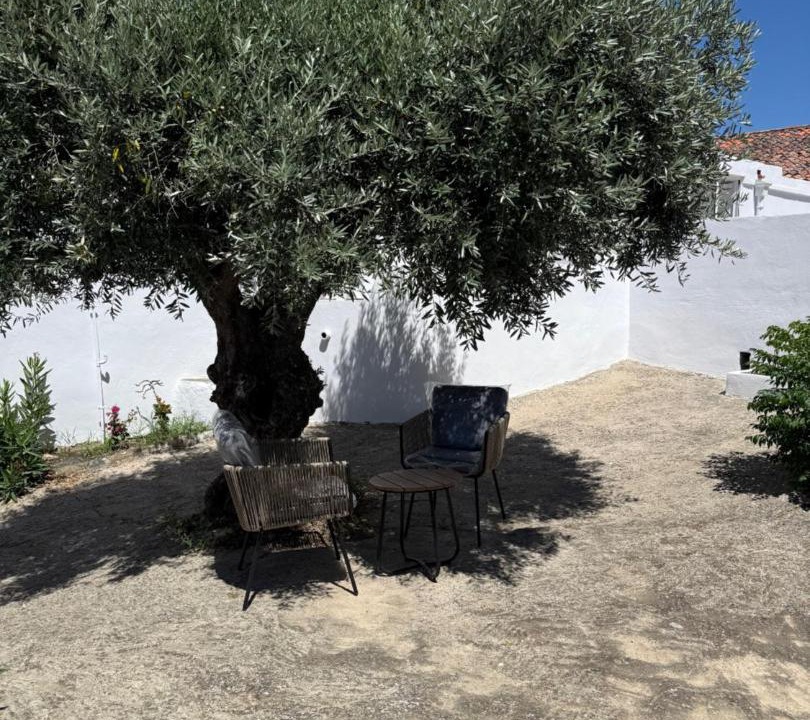 Photo of Others in Mertola