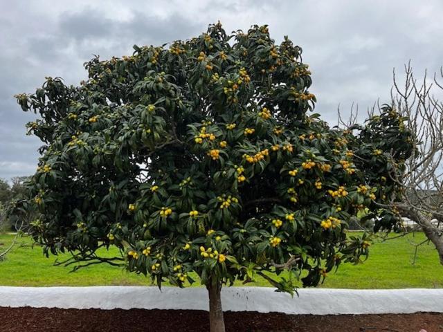 Photo of Outdoor in Lagos