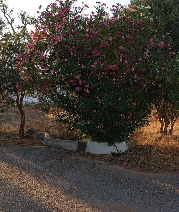 Photo of Outdoor in Lagos