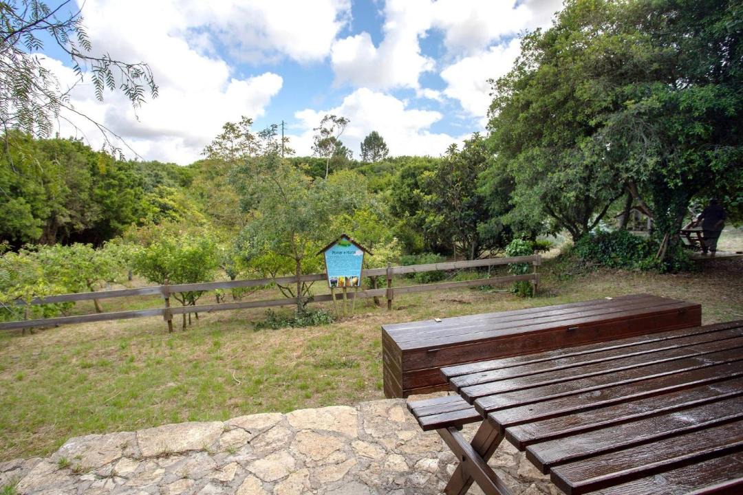 Photo of Others in Lourinha