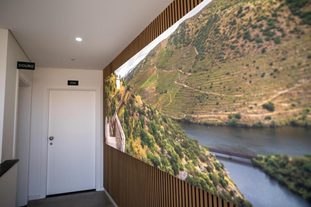 Photo of Others in Vila Nova de Foz Coa