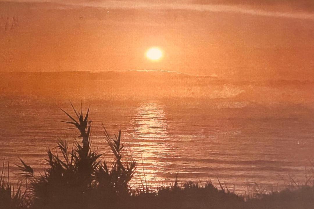 Photo of Others in Foz do Arelho