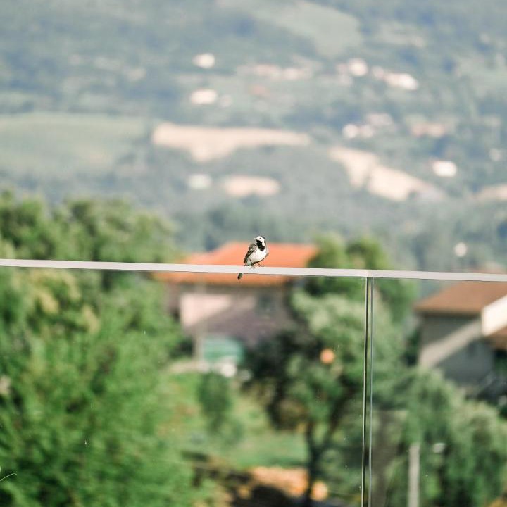 Photo of Others in Refojos de Basto