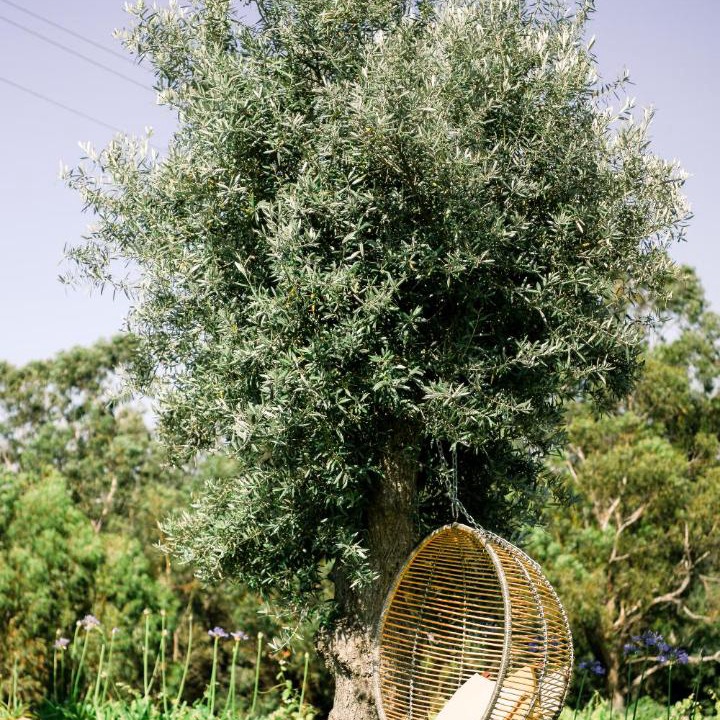 Photo of Outdoor in Refojos de Basto