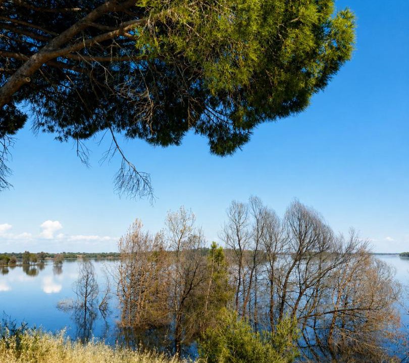 Photo of Others in Ferreira do Alentejo