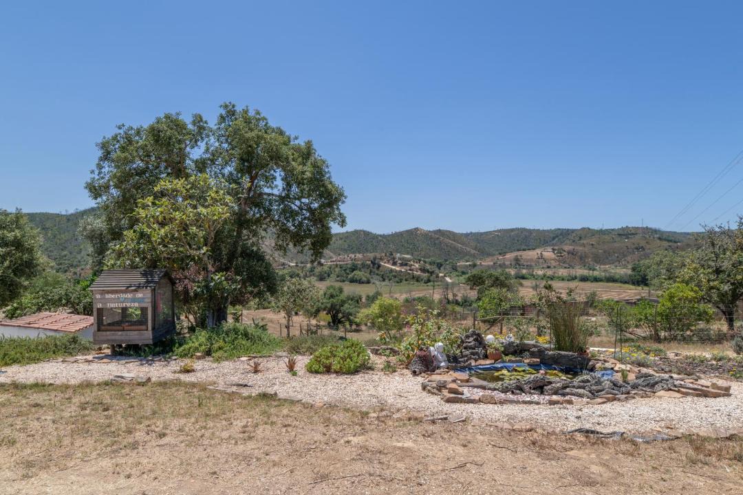 Photo of Others in Baiona