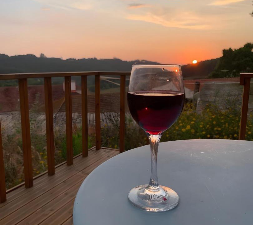 Photo of Patio Balcony in Rio Maior